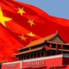 鉴观八方头像