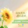 🌈🌈开心😁头像