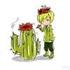 小小的仙人掌头像