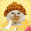 猫meme星人头像