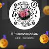 我毛毛头像