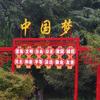 大爱无疆y头像