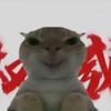 小六特烦恼😴头像