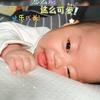 小安宝头像