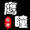 鹰瞳观澜头像