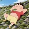 小白洋头像