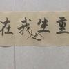 重生之老胡学书法头像