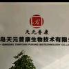 猪猪侠榮先生头像