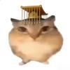 猫meme殿下头像