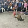耍猴艺人猴哥头像