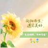 钱程似锦168头像
