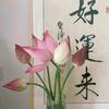 记忆小荷老师头像