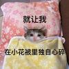 据我判断头像