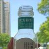 圣人戒盈头像