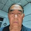 泰山松头像