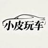 小皮玩车头像