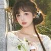 竹青磬～头像