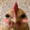 鸡小小（乐乐妈妈）头像