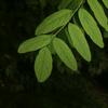 郑州手机摄影教学01头像