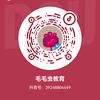 毛毛虫教育头像