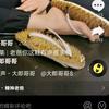 刘大大头像