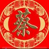 蔡冬冬头像