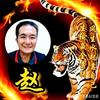 ꧁晚风🐯꧂头像