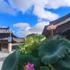 霞光韩~福品折纸工艺品头像
