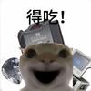 跑刀中的哈基鼠(三角洲)头像