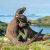 非洲荒野世界头像