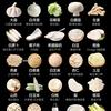 蔷薇严选头像