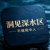 洞见深水区头像