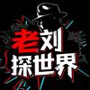 老刘探世界头像
