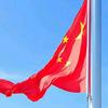 波兰球（大号）＋（防网暴）头像