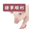 小马养殖技术分享头像