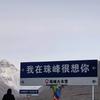 一个流浪在社会之中的土木人头像