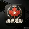 挽枫观影头像