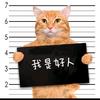 梦幻手游大肥猫头像