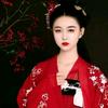 冰山一支梅头像