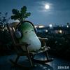拔丝菜头头像