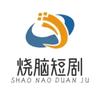 烧脑剧场头像