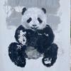 小马过河头像