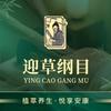 迎草纲目.平海佛园村店严姐头像