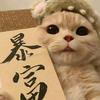 云愫情彤头像