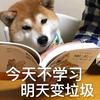 关你西红市头像