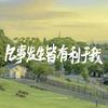 动画乐园头像