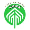 大木长天公考头像