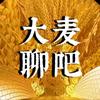大麦聊吧头像
