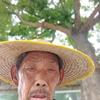 西兰头像