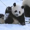大浪淘沙V头像